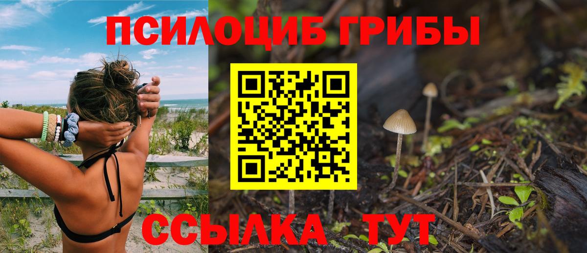 Галлюциногенные грибы ЛСД Гатчина
