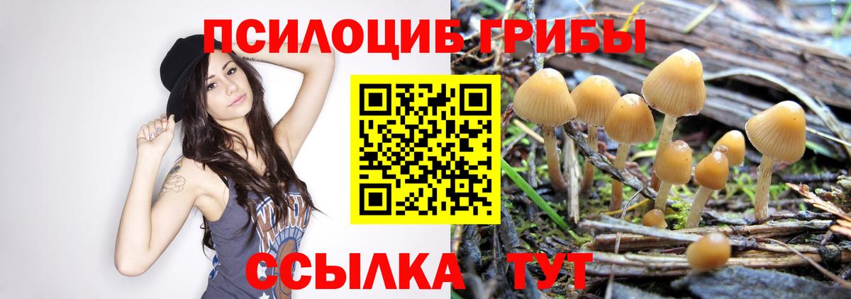 Гатчина  Псилоцибиновые грибы Psilocybe  Галлюциногенные грибы Magic Shrooms  Вход с VPN 